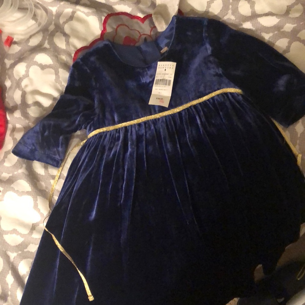 Toddler dress blue velvet 18-24 months